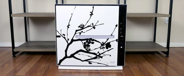 Rabbit Air MinusA2 Review (SPA-780N) | Modern Castle