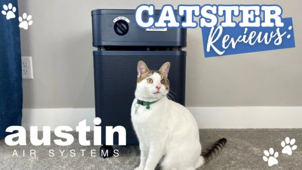 Austin Air HealthMate Review 2024