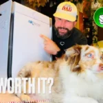 Air Doctor 3500 Review | Does AirDoctor Make the Best Air Purifier for Pet Hair, Dander & Odors?