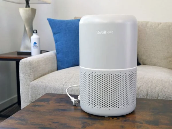 Levoit Core P350 Review - Modern Castle