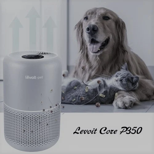Levoit Core P350 Air Purifier: Trusted Review In 2026