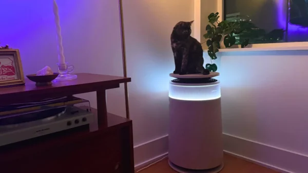 Dreame FP10 pet air purifier review from a 2-cat home: Heavy-duty, self-cleaning, incredibly chic