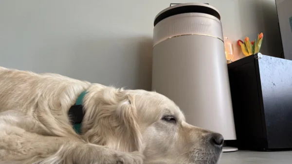 Dreame FP10 in test: Fresh air for pet owners