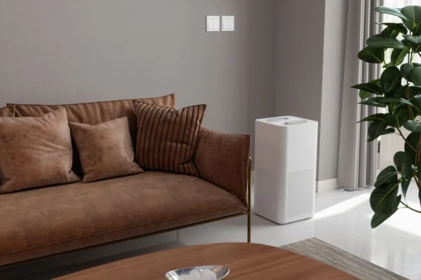 I Never Wanted an Air Purifier, Until I Tried the Coway Airmega 50 (It\'s So Small-Space-Friendly!)
