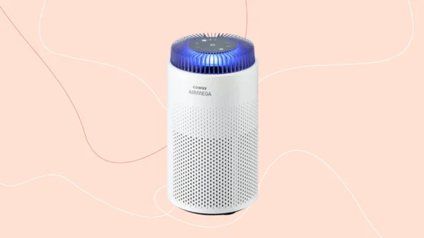 I didn’t think a £75 air purifier would make a difference in my family home – but it’s compact, quiet and surprisingly...