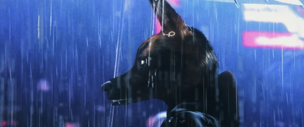 Bouchra review: A beautifully rendered slice of animated docufiction