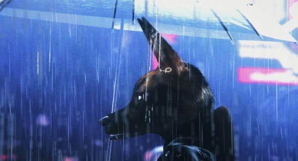 Bouchra Review: An Aesthetically Bold, Personal Animation