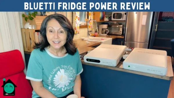 An Un-Techie Review Of The New Bluetti Fridge Power Unit