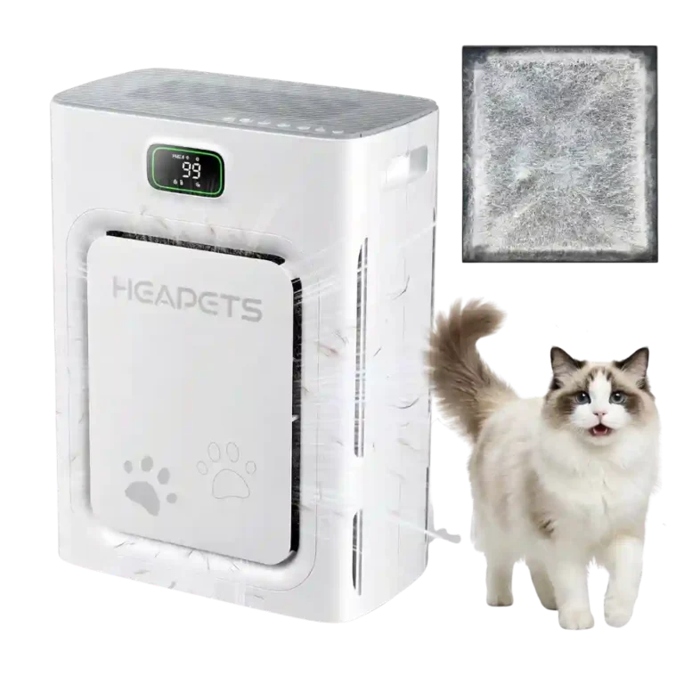 HEAPETS P358