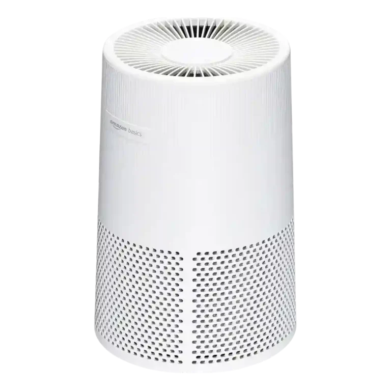 Amazon Basics AC2224A