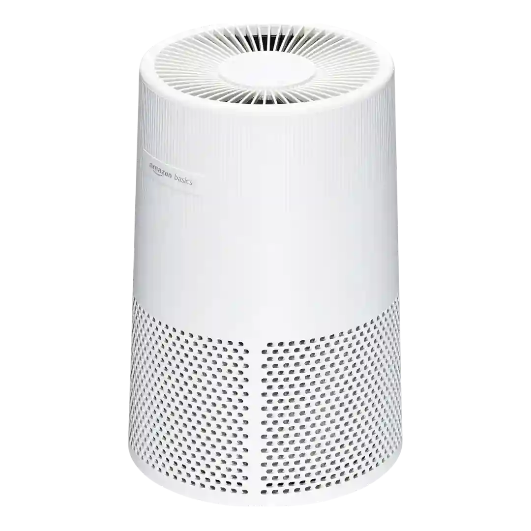 Amazon Basics AC2224A