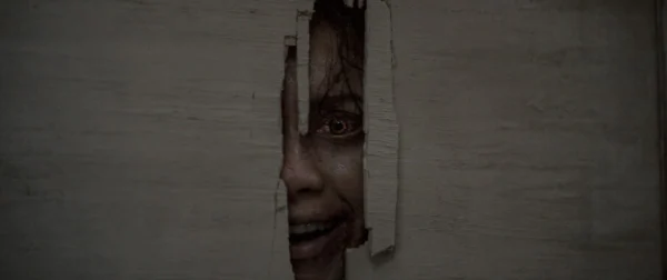 Evil Dead Burn review: Vicious sequel gets lost in the woods