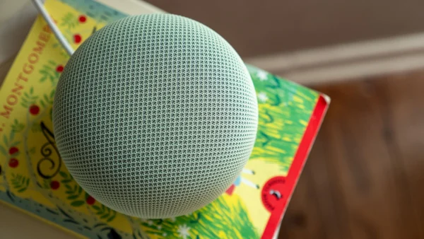 I upgraded to the new Google Home Speaker for the AI, but I'm keeping it for the sound