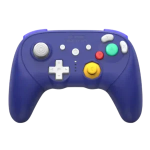 Retro Fighters BattlerGC Pro