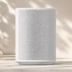 Sonos Era 100