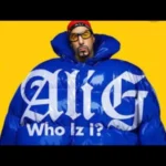 PETER BRADSHAW reviews ALI G: WHO IZ I?