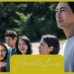 POSSIBLE LOVE Movie Review